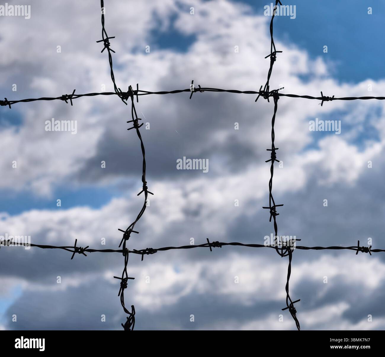 Accattivante recinzione in filo spinato contro un cielo spettacolare, che simboleggia confini, sicurezza e natura in un'immagine straordinaria. Perfetto per la progettazione di marketing e il modello di presentazione Foto Stock