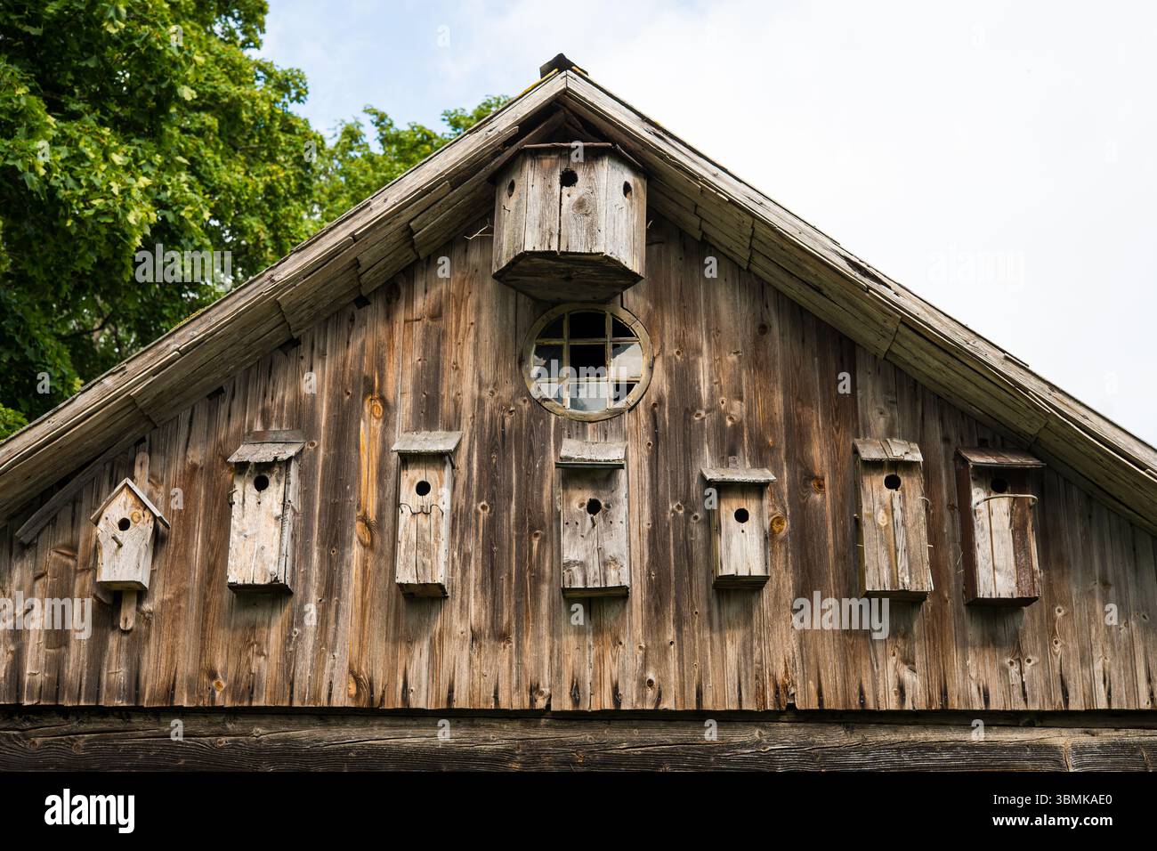 Rustico muro di fienile in legno con numerose case per uccelli sotto il tetto Foto Stock