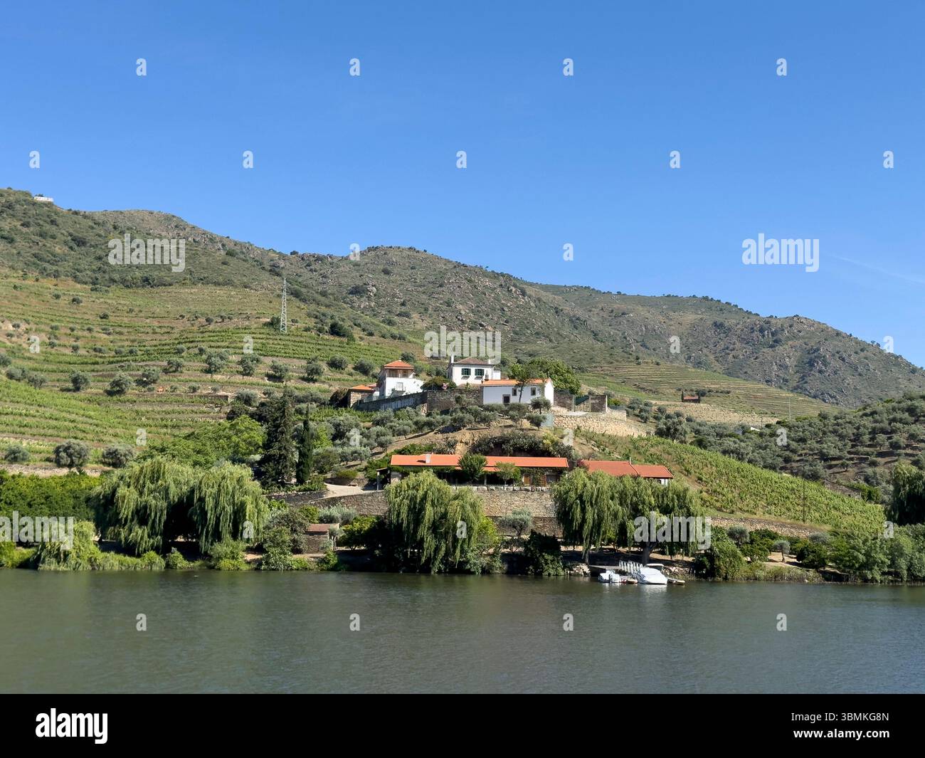 Azienda vinicola Senhora da Ribeira sul fiume Douro, Portogallo Foto Stock