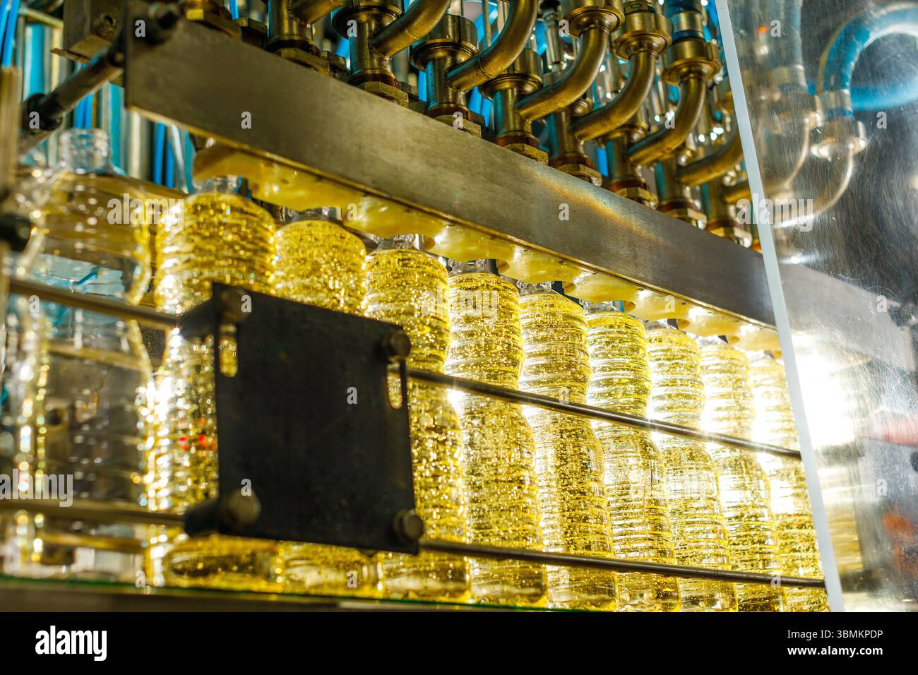 Primo piano della linea di imbottigliamento automatizzato di olio di girasole con riempimento di bottiglie trasparenti in un moderno stabilimento di produzione alimentare Foto Stock