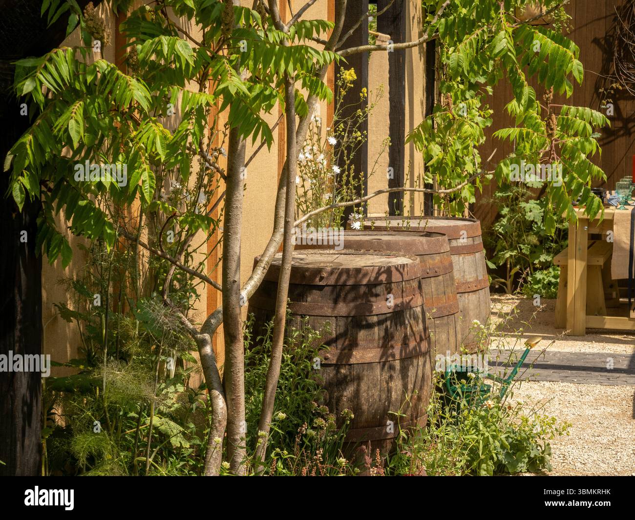 Botti di vino in legno ripurificate in mozziconi d'acqua in un giardino con spettacolo al Gardeners World Live, NEC, Regno Unito Foto Stock