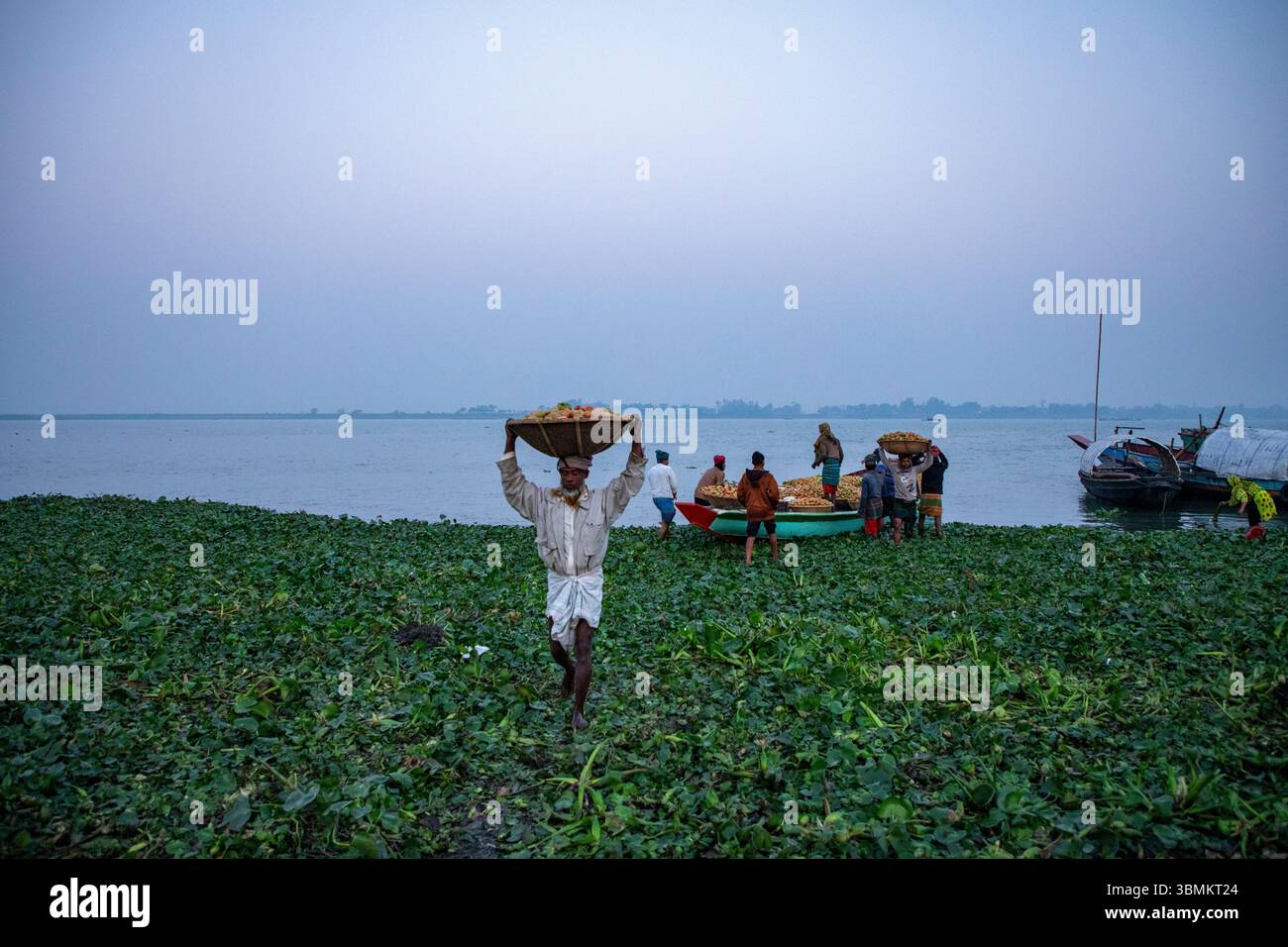 Gli agricoltori scaricano verdure invernali dalle barche al mercato di Baishmouja lungo il fiume Meghna a Nabinagar, nel distretto di Brahmanbaria, Bangladesh. Foto Stock