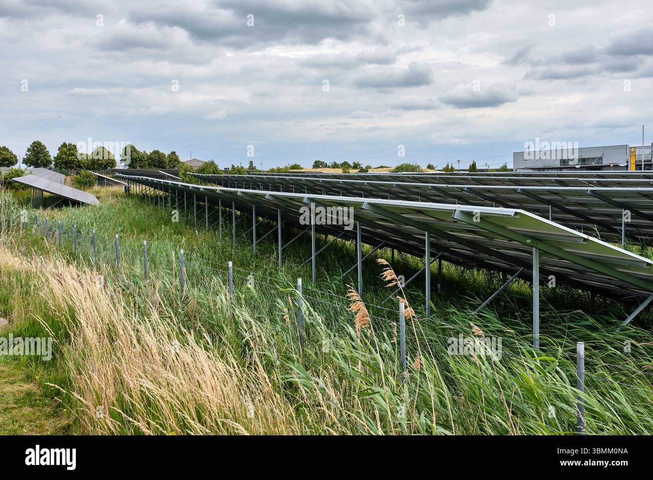 25 giugno 2024 - Altentreptow-Germania: File di pannelli solari su un campo verde vicino a un sito industriale sotto un cielo nuvoloso nel Meclemburgo, evidenziando re Foto Stock