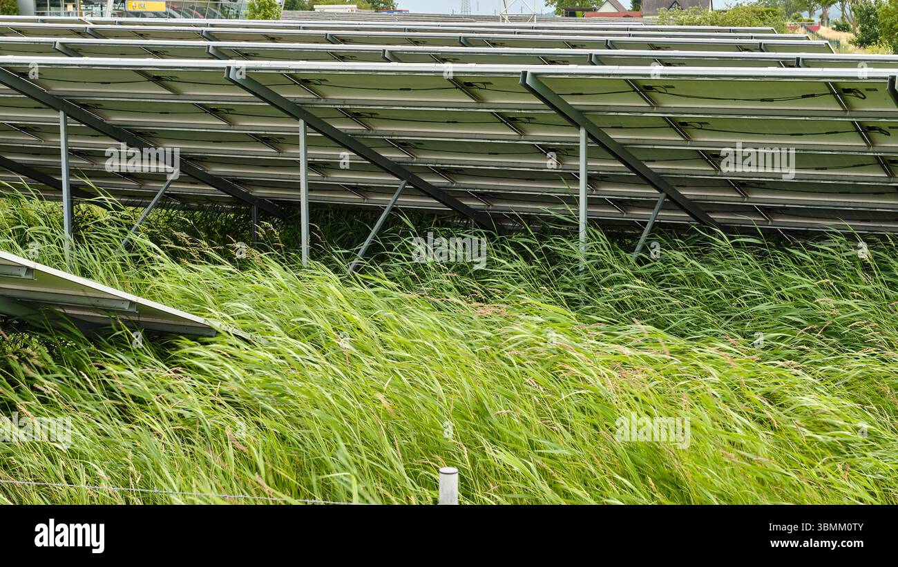 25 giugno 2024 - Altentreptow-Germania: File di pannelli solari su un campo verde vicino a un sito industriale sotto un cielo nuvoloso nel Meclemburgo, evidenziando re Foto Stock