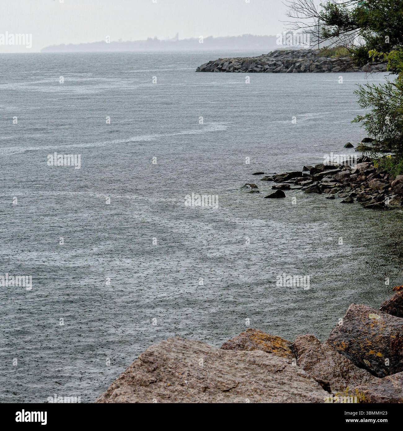 Acqua piovosa sul fiume St. Lawrence nei pressi di Prescott, Ontario, Canada, in una giornata estiva nebbiosa. Foto Stock