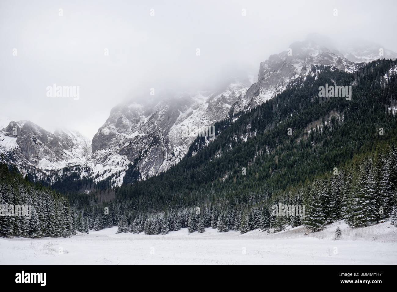 Dolina Małej Łąki nel Parco Nazionale Tatra, Polonia Foto Stock