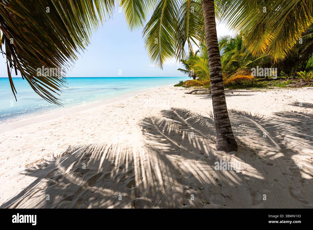 Catturata sulle splendide coste dell'isola di Saona nella Repubblica Dominicana, questa spiaggia tropicale mette in evidenza sabbia dorata e acque turchesi Foto Stock