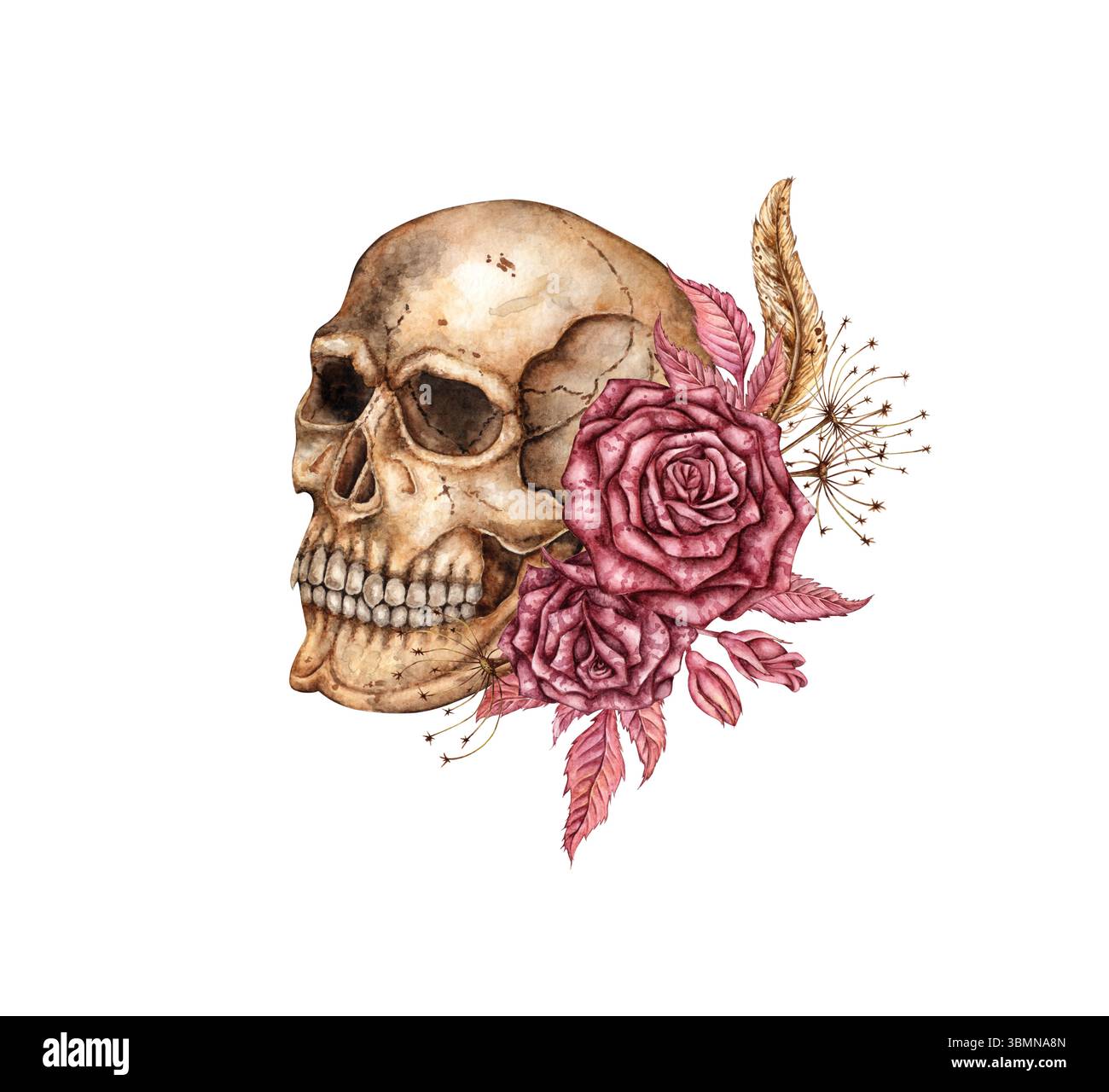 Cranio umano profilo realistico con rose rosse scure e fiori secchi illustrazione ad acquerello. Ossa in stile gotico. Giorno dei morti, Halloween, dia de Foto Stock