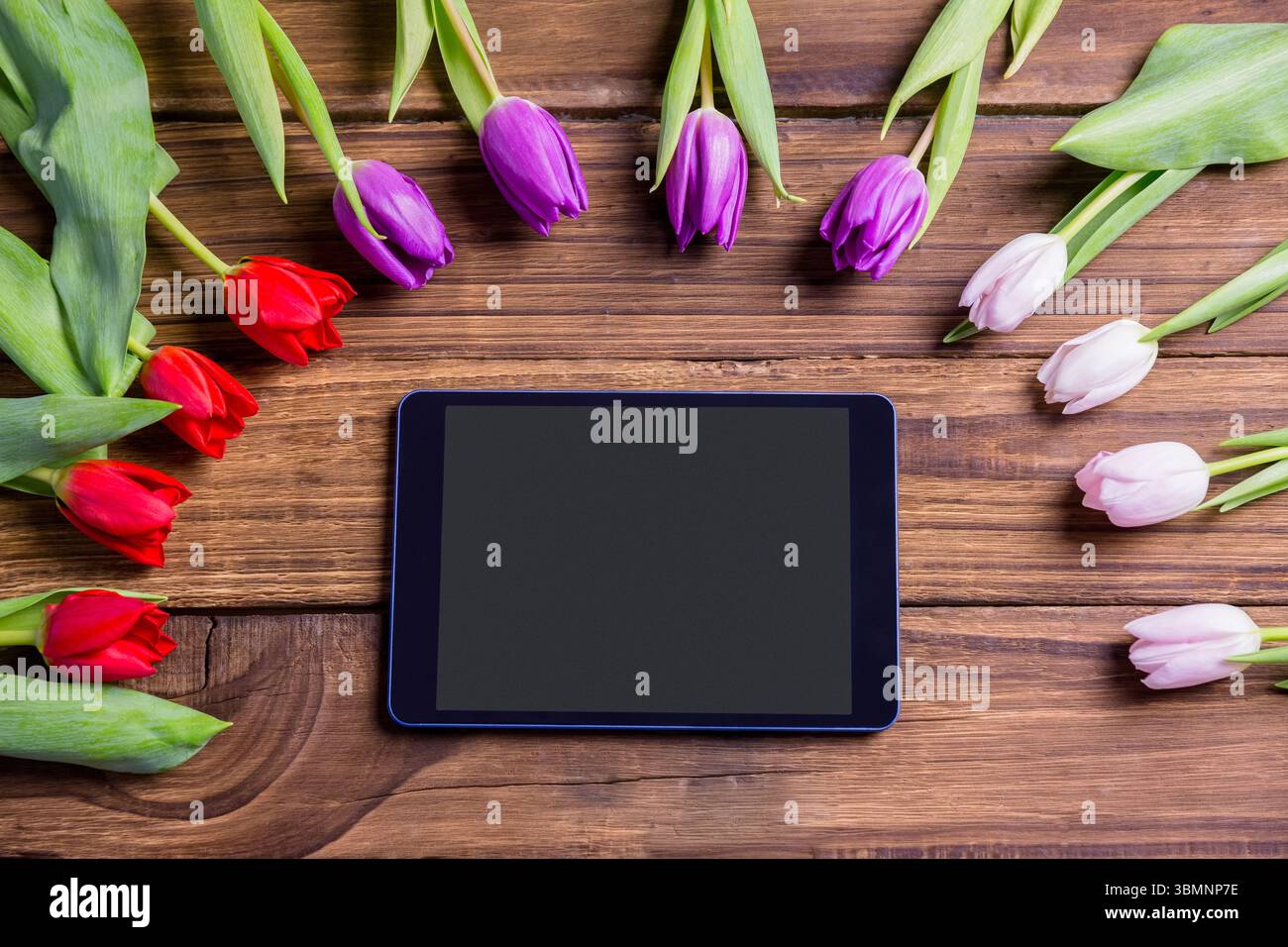 Il tablet si trova su un piano piatto su un tavolo in legno, circondato da tulipani rossi viola e rosa pallido Foto Stock
