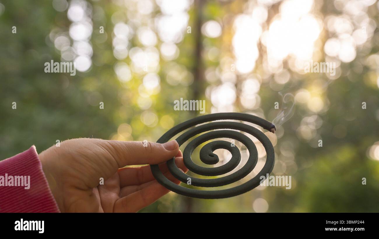 Zanzara verde repellente per insetti all'aperto durante l'estate. Cercando di uccidere zanzare e mosche. Prevenzione disinfezione contro morsi di zanzara durante Foto Stock