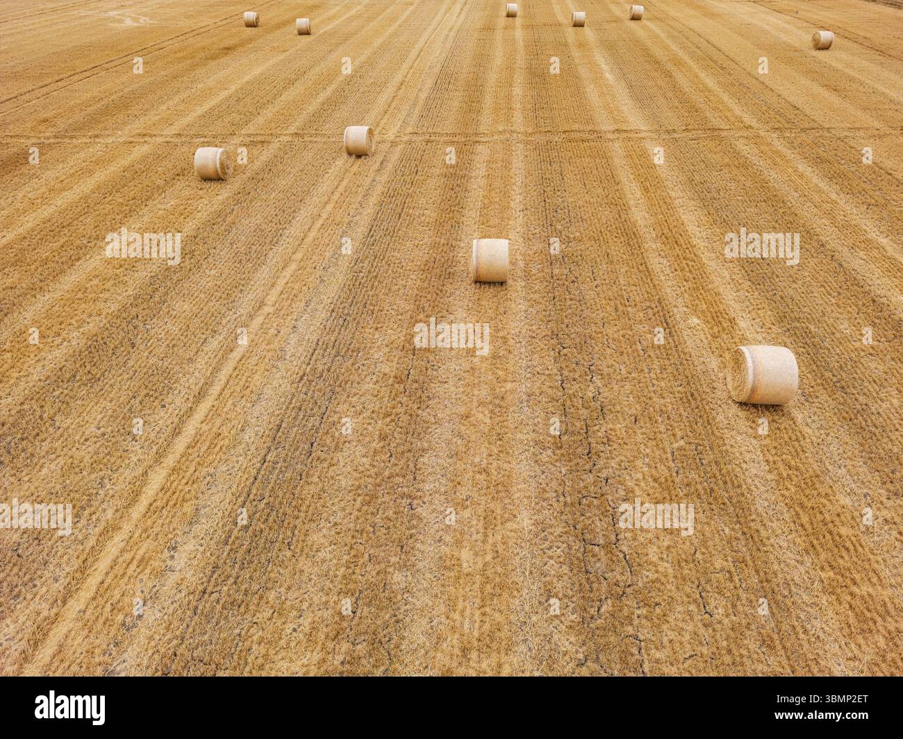 Diverse balle di paglia nei campi raccolti in estate calda siccità si trovano all'orizzonte, Germania, Europa Foto Stock