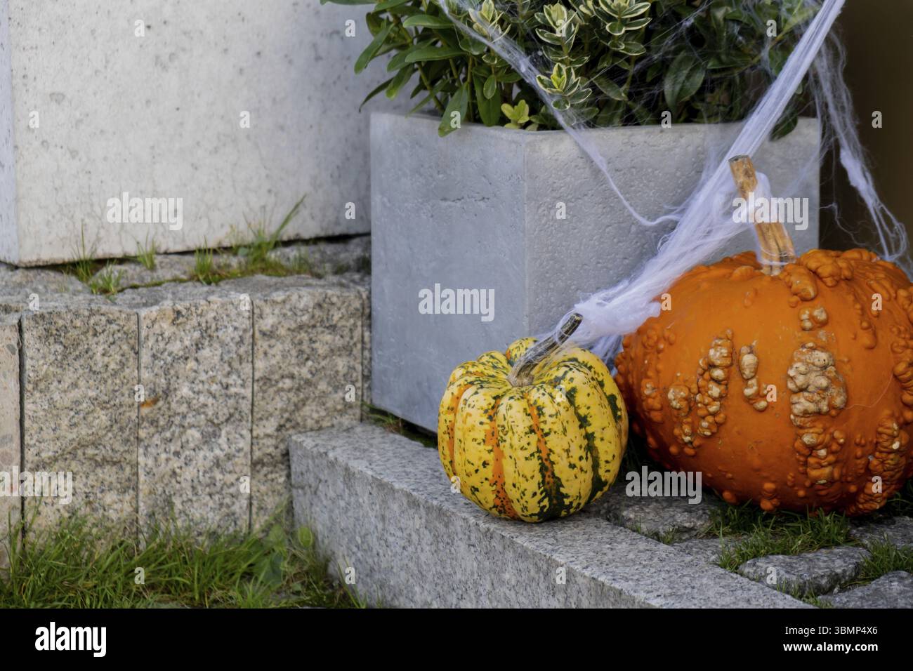 Caffè all'aperto decorato ad Halloween o terrazza ristorante in America o in Europa con zucche caratteristiche tradizionali di Halloween. Decorazione del cortile anteriore Foto Stock