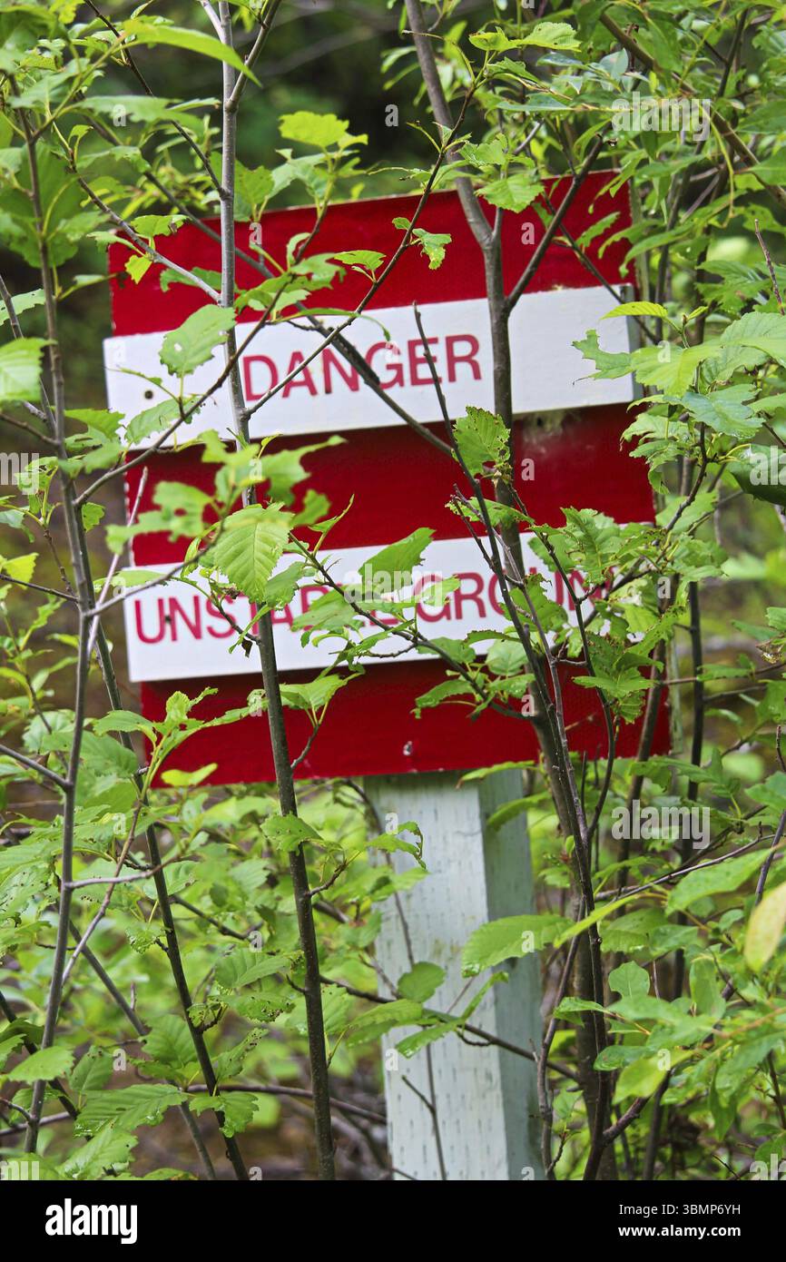 Un segnale di pericolo, instabile, oscurato dagli alberi Foto Stock
