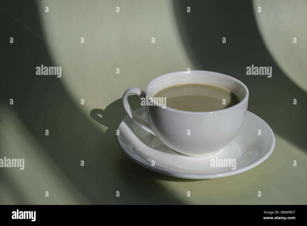 Bevanda matcha ricca di nutrienti con ombre profonde alla moda su sfondo dai colori tenui. La mattina, una bella colazione in omaggio. Colori vivaci e creativi Foto Stock