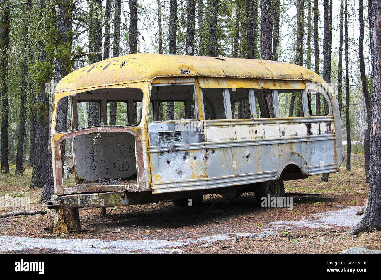 Ha spogliato l'autobus abbandonato in un campo di cacciatori sulla terra della corona Foto Stock