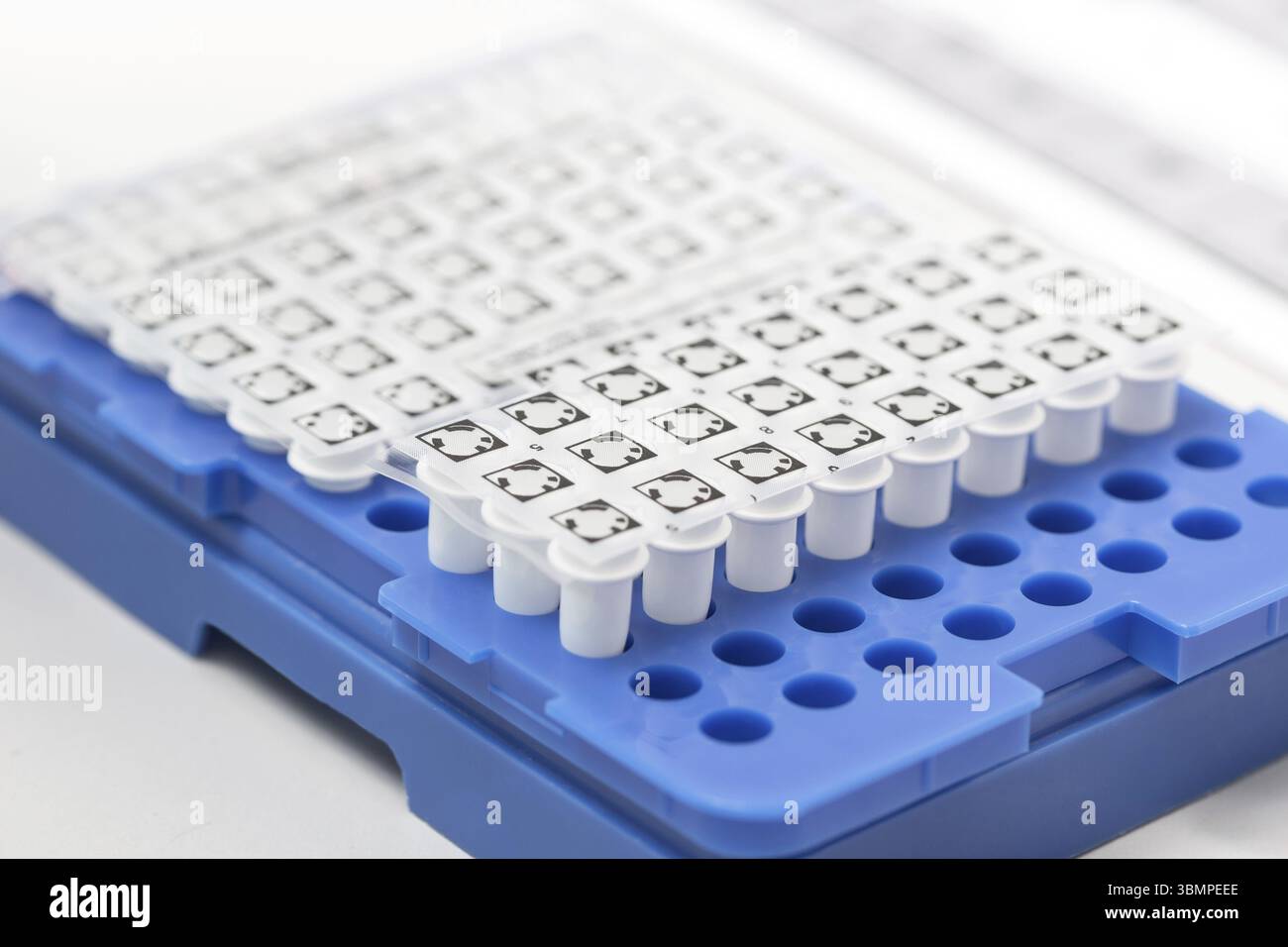 Un set di provette in vetro per campioni. Apparecchiature chimiche da laboratorio. Analisi Foto Stock