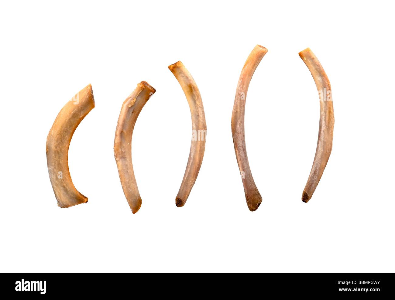 Fila di sottili costolette di maiale fritte come avanzi isolate su bianco Foto Stock