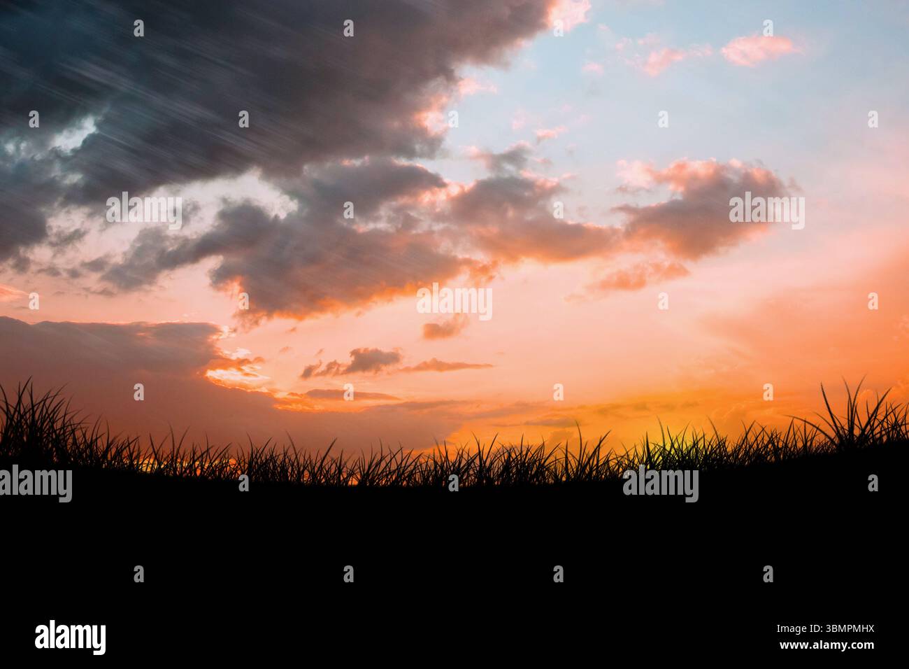 Il design piatto raffigura un'alta silhouette di erba che si innalza contro il vibrante cielo del tramonto con nuvole mostruose Foto Stock