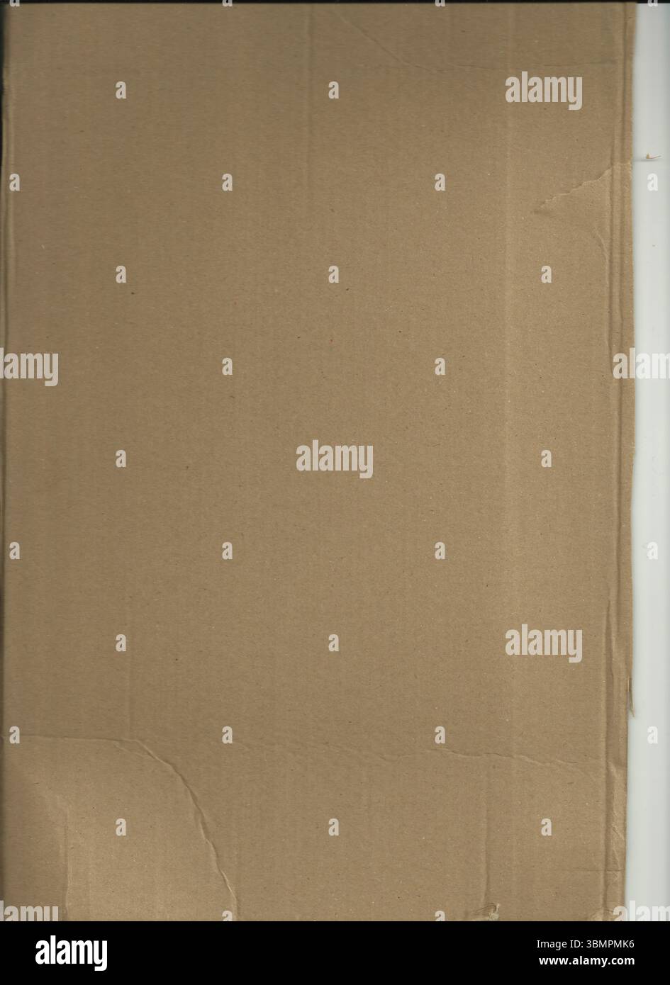 Il foglio di cartone ondulato è appoggiato su una superficie bianca piatta e presenta pieghe e strappi Foto Stock