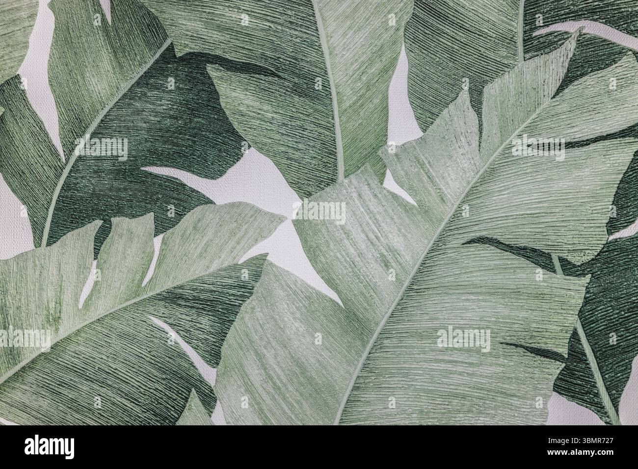 Tessuto tappezzeria fondo texture con ornamento floreale Foto Stock