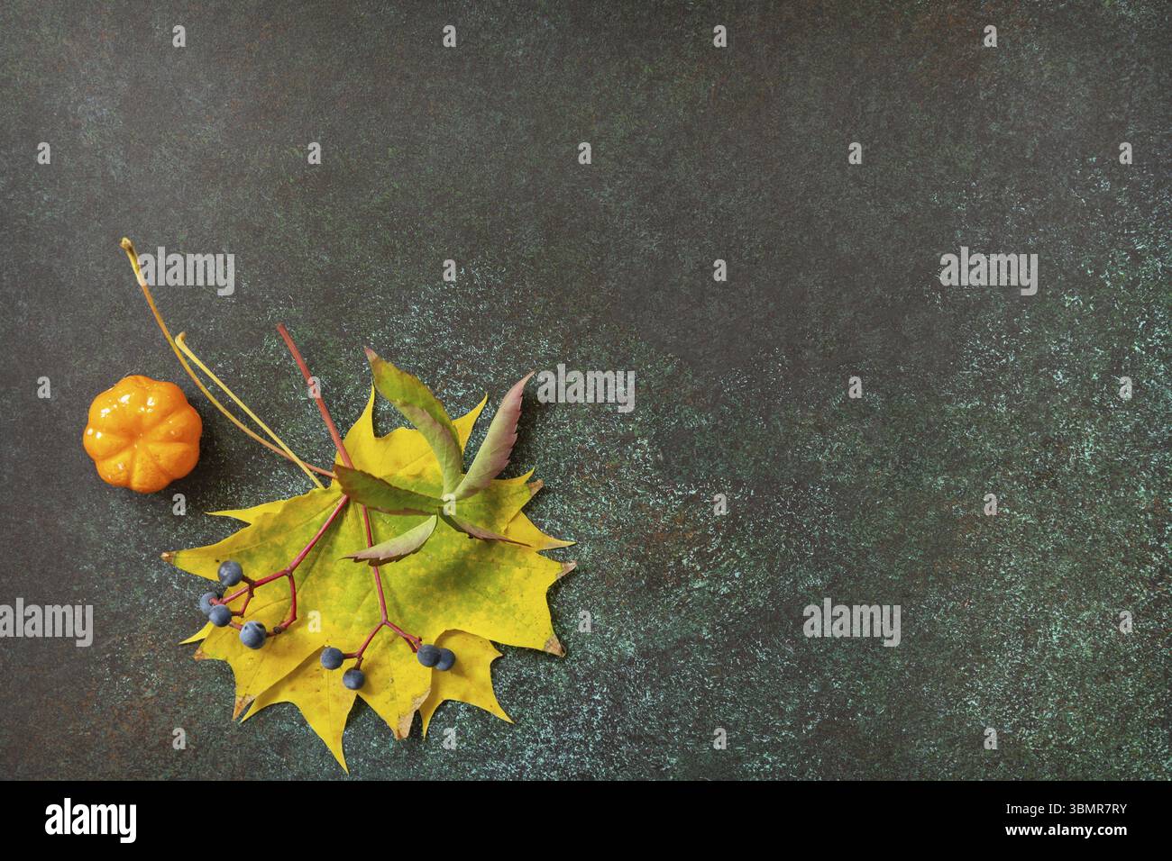 Composizione autunnale con foglie colorate e bacche naturali autunnali. Atmosfera autunnale accogliente. Biglietto d'auguri per le stagioni autunnali Foto Stock