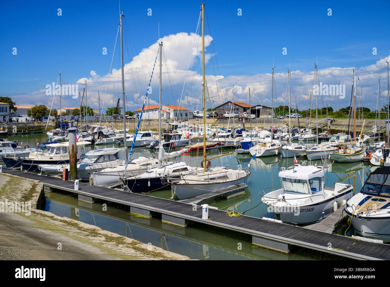 ARS-en-Ré, Île de Ré, Charente-Maritime, Francia Foto Stock