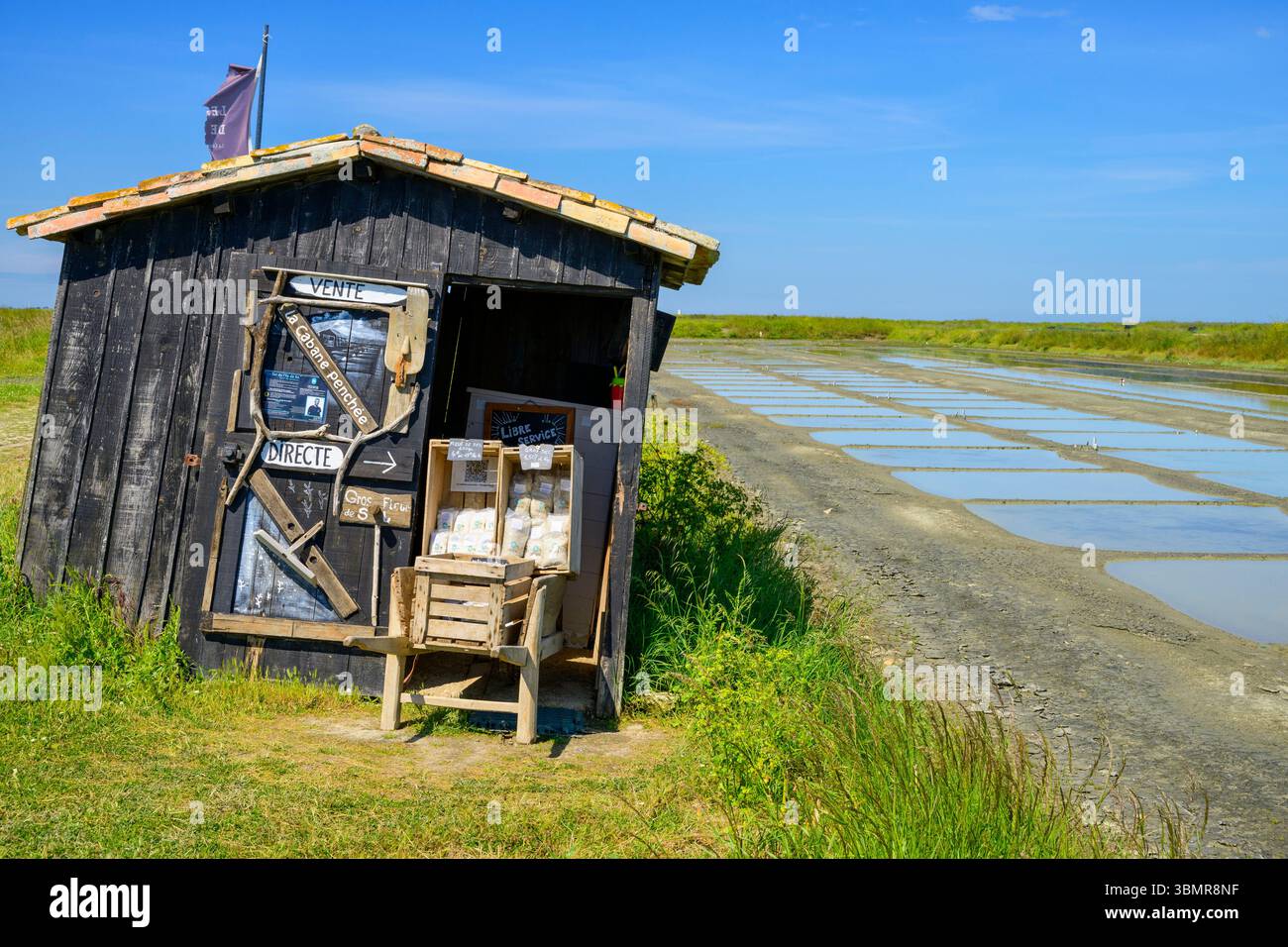 Produzione di sale a Île de Ré, Charente-Maritime, Francia Foto Stock
