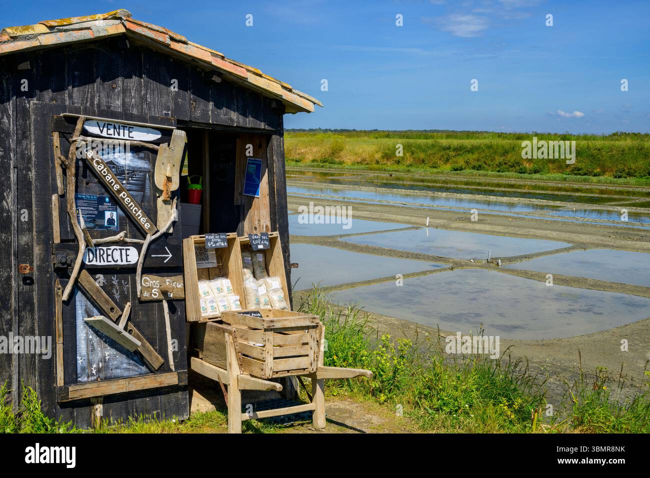 Produzione di sale a Île de Ré, Charente-Maritime, Francia Foto Stock