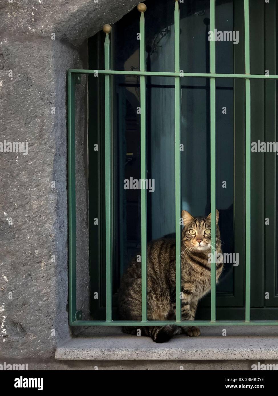 Un gatto dagli occhi verdi in una finestra di un cottage in un villaggio siciliano Foto Stock