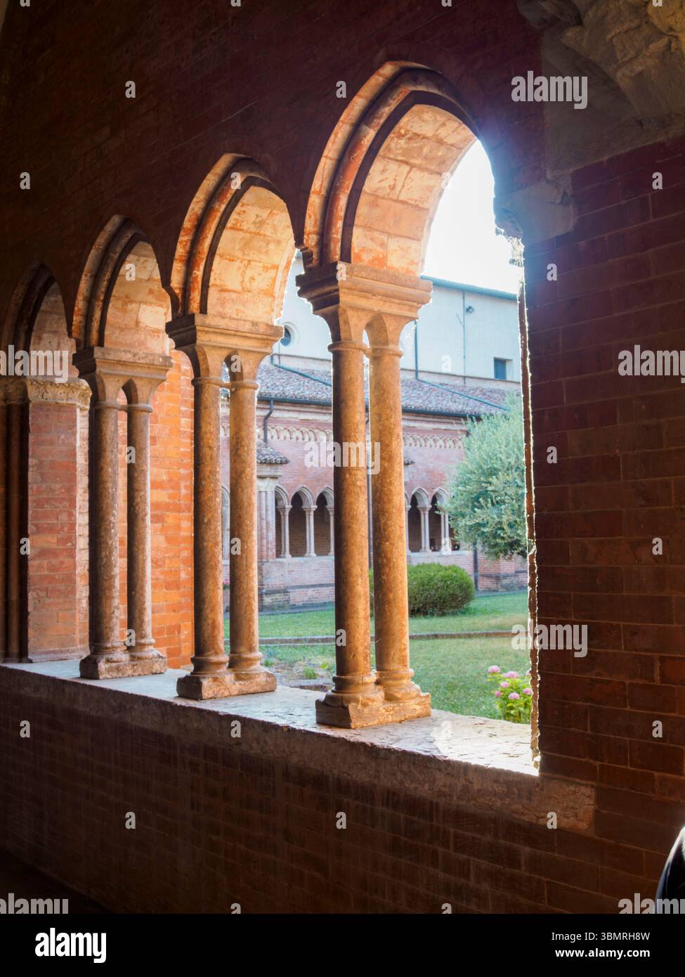 Alseno, Italia 22 giugno 2025 la calda luce del sole illumina il chiostro dell'Abbazia di Chiaravalle della Colomba, creando un'atmosfera tranquilla in questo Foto Stock