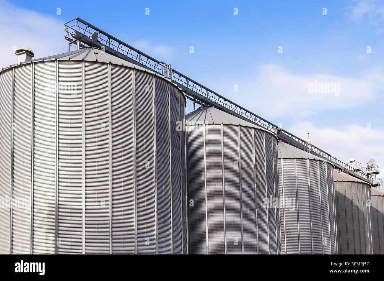 Silos agricoli. Esterno dell'edificio. Stoccaggio ed essiccazione di grani, frumento, mais, soia, girasole contro il cielo blu con nuvole bianche Foto Stock
