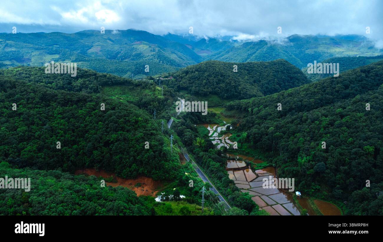 Vista aerea del paesaggio agricolo della Thailandia. Campi di riso in attesa di essere coltivati in campagna. Agricoltura nella stagione delle piogge. Foto Stock