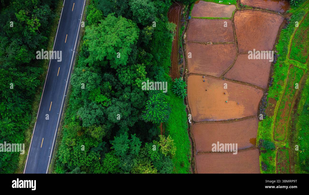 Vista aerea del paesaggio agricolo della Thailandia. Campi di riso in attesa di essere coltivati in campagna. Agricoltura nella stagione delle piogge. Foto Stock
