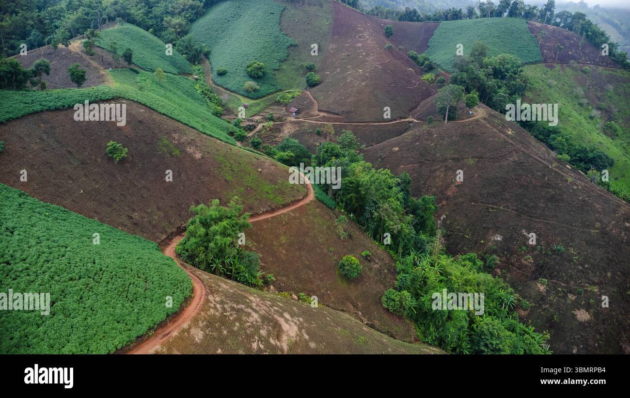 Vista aerea di una montagna che è stata abbattuta e distrutta dagli esseri umani. Vista dall'alto della deforestazione in Thailandia. Distruzione ambientale. Foto Stock