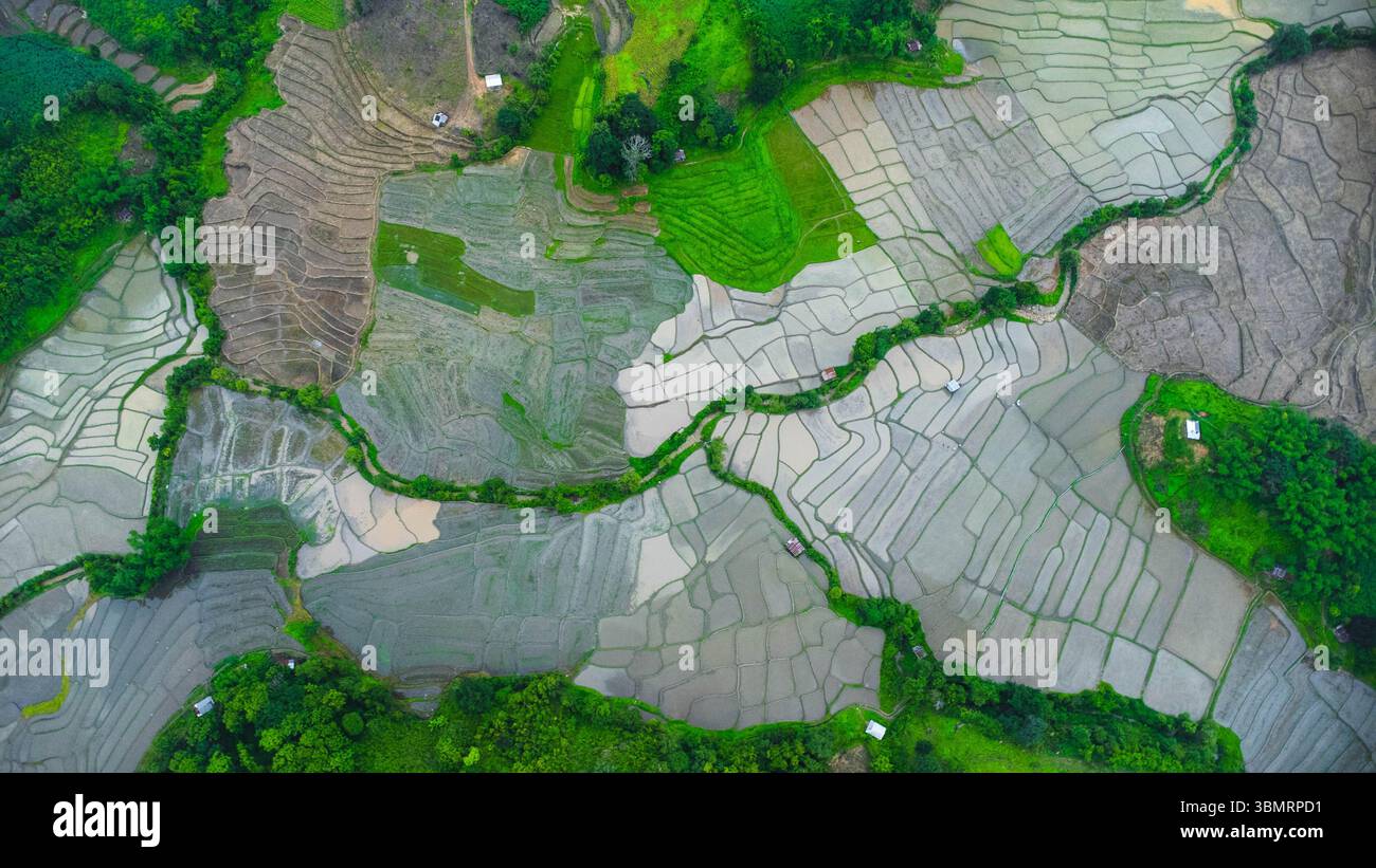 Vista aerea del paesaggio agricolo della Thailandia. Campi di riso in attesa di essere coltivati in campagna. Agricoltura nella stagione delle piogge. Foto Stock