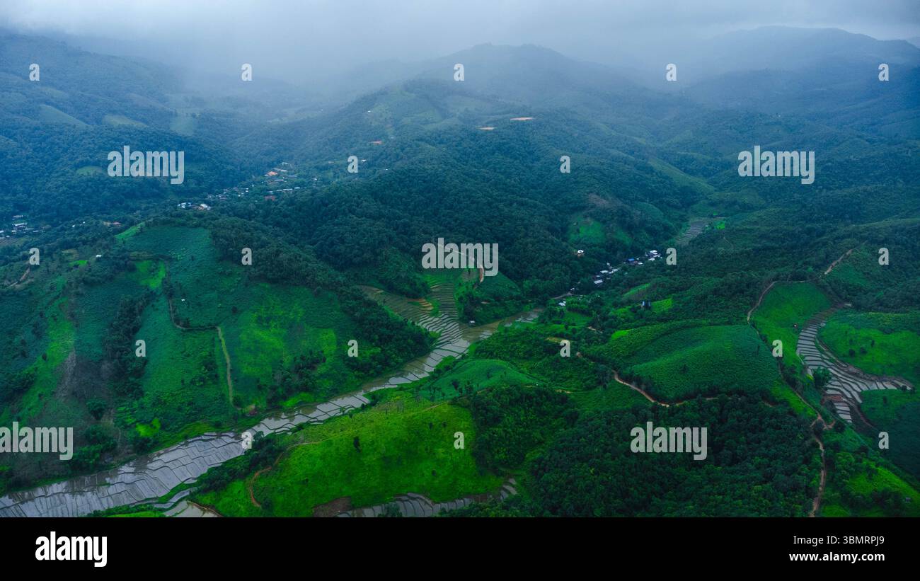 Vista aerea del paesaggio agricolo della Thailandia. Campi di riso in attesa di essere coltivati in campagna. Agricoltura nella stagione delle piogge. Foto Stock