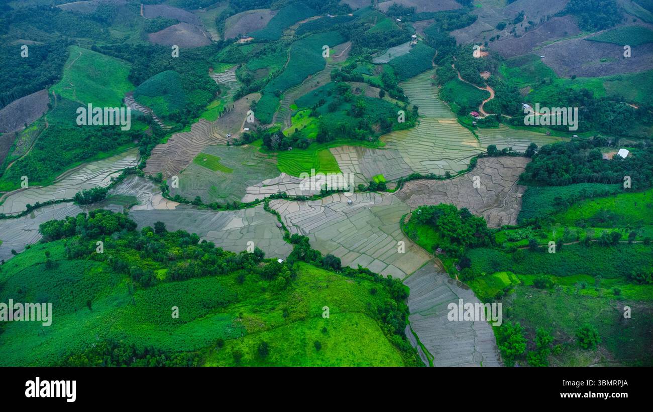 Vista aerea del paesaggio agricolo della Thailandia. Campi di riso in attesa di essere coltivati in campagna. Agricoltura nella stagione delle piogge. Foto Stock
