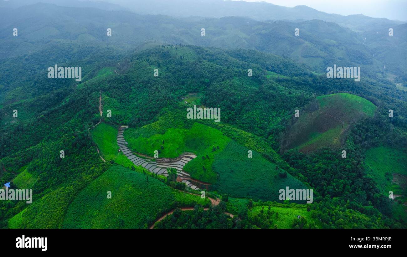 Vista aerea del paesaggio agricolo della Thailandia. Campi di riso in attesa di essere coltivati in campagna. Agricoltura nella stagione delle piogge. Foto Stock