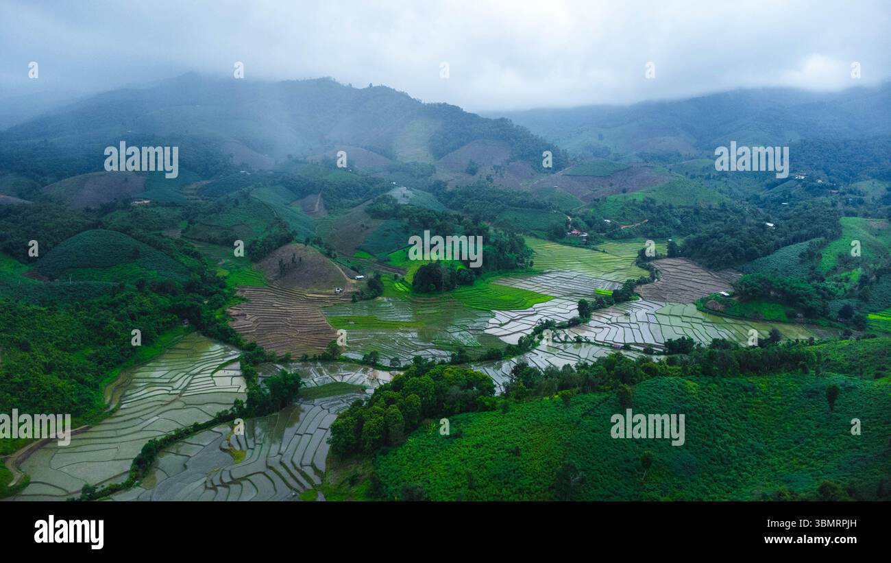 Vista aerea del paesaggio agricolo della Thailandia. Campi di riso in attesa di essere coltivati in campagna. Agricoltura nella stagione delle piogge. Foto Stock