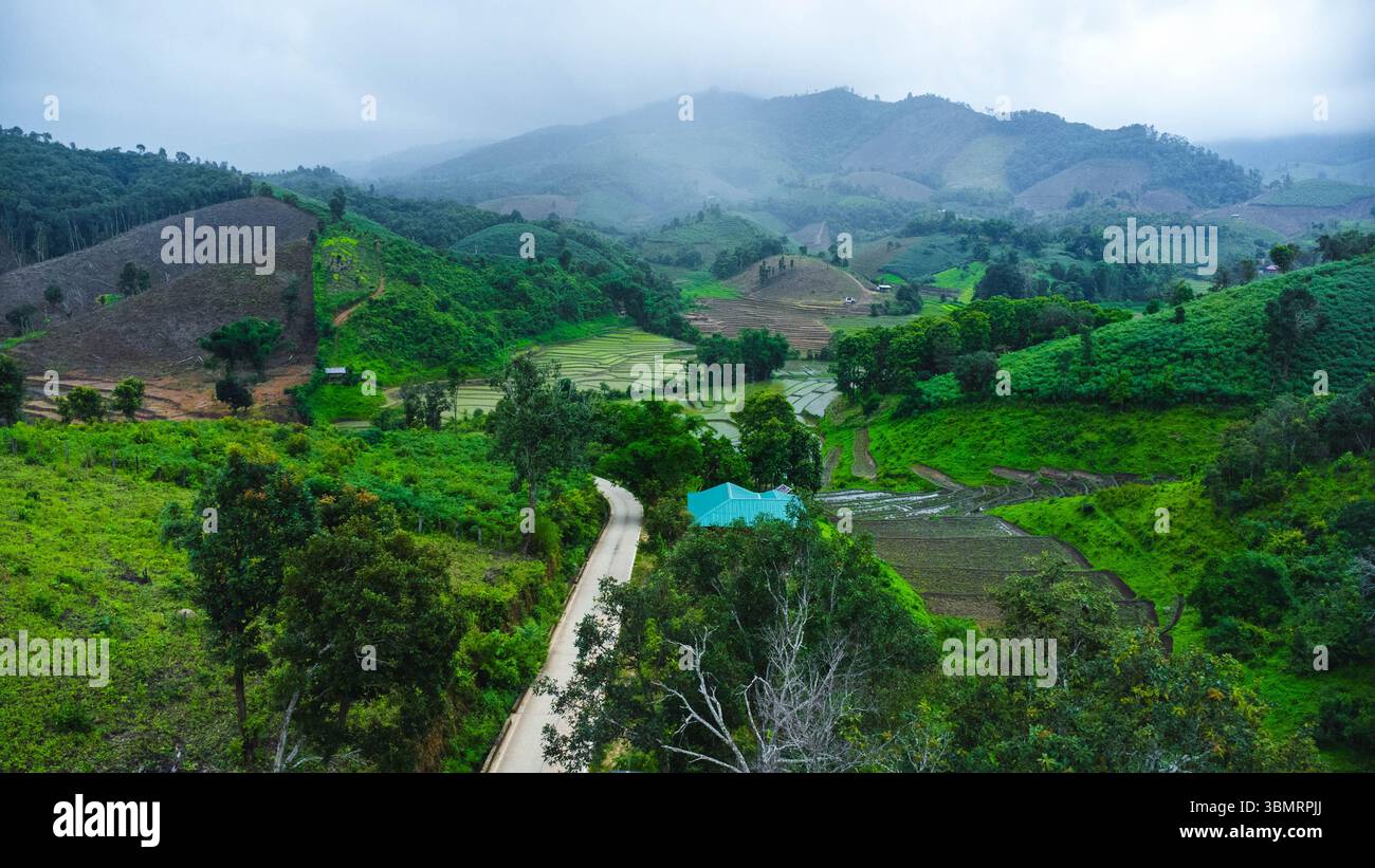 Vista aerea del paesaggio agricolo della Thailandia. Campi di riso in attesa di essere coltivati in campagna. Agricoltura nella stagione delle piogge. Foto Stock