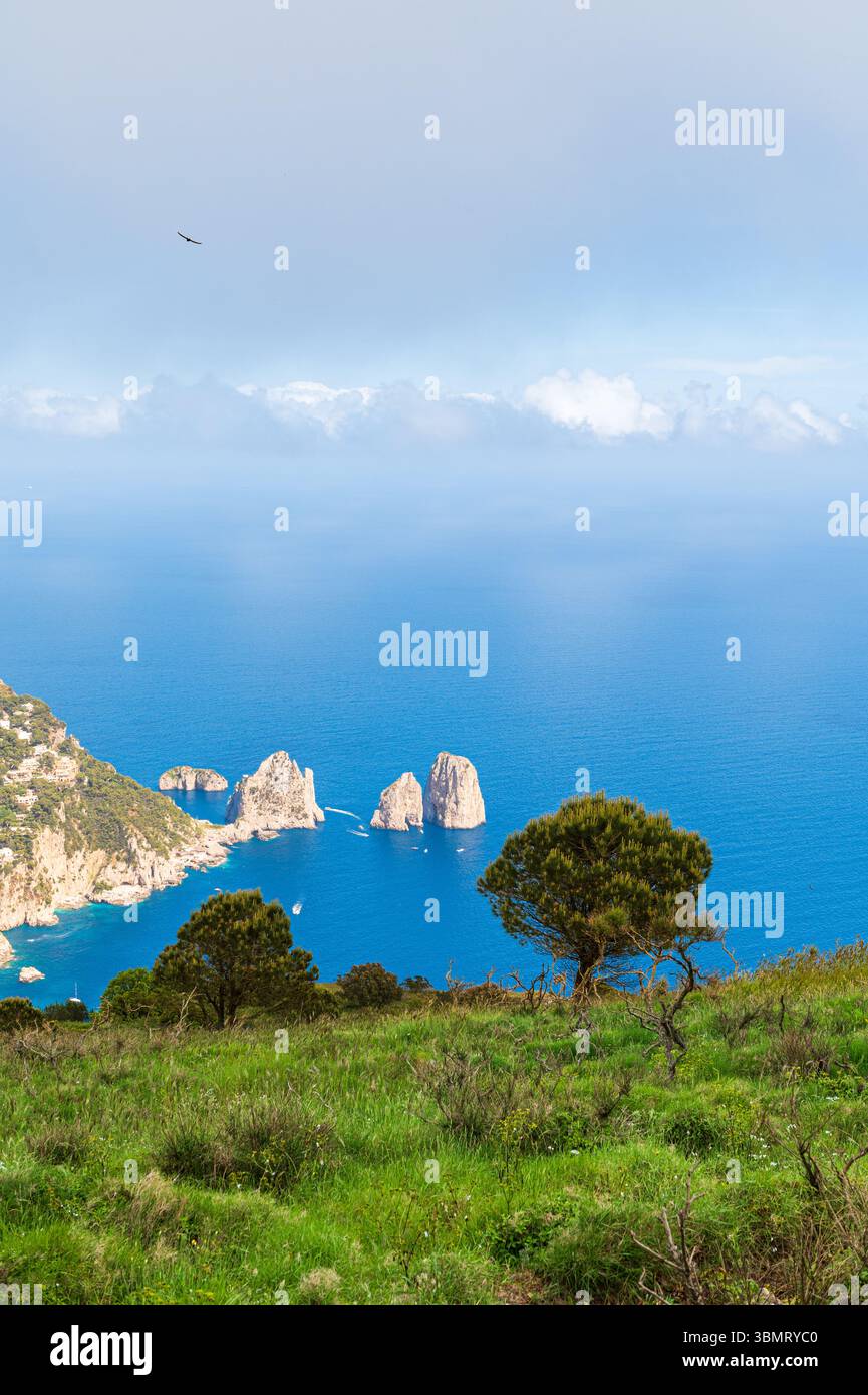 Faraglioni di Cqapri dal punto di vista Monte Solaro, formato verticale, Isola di Capri, Italia Foto Stock