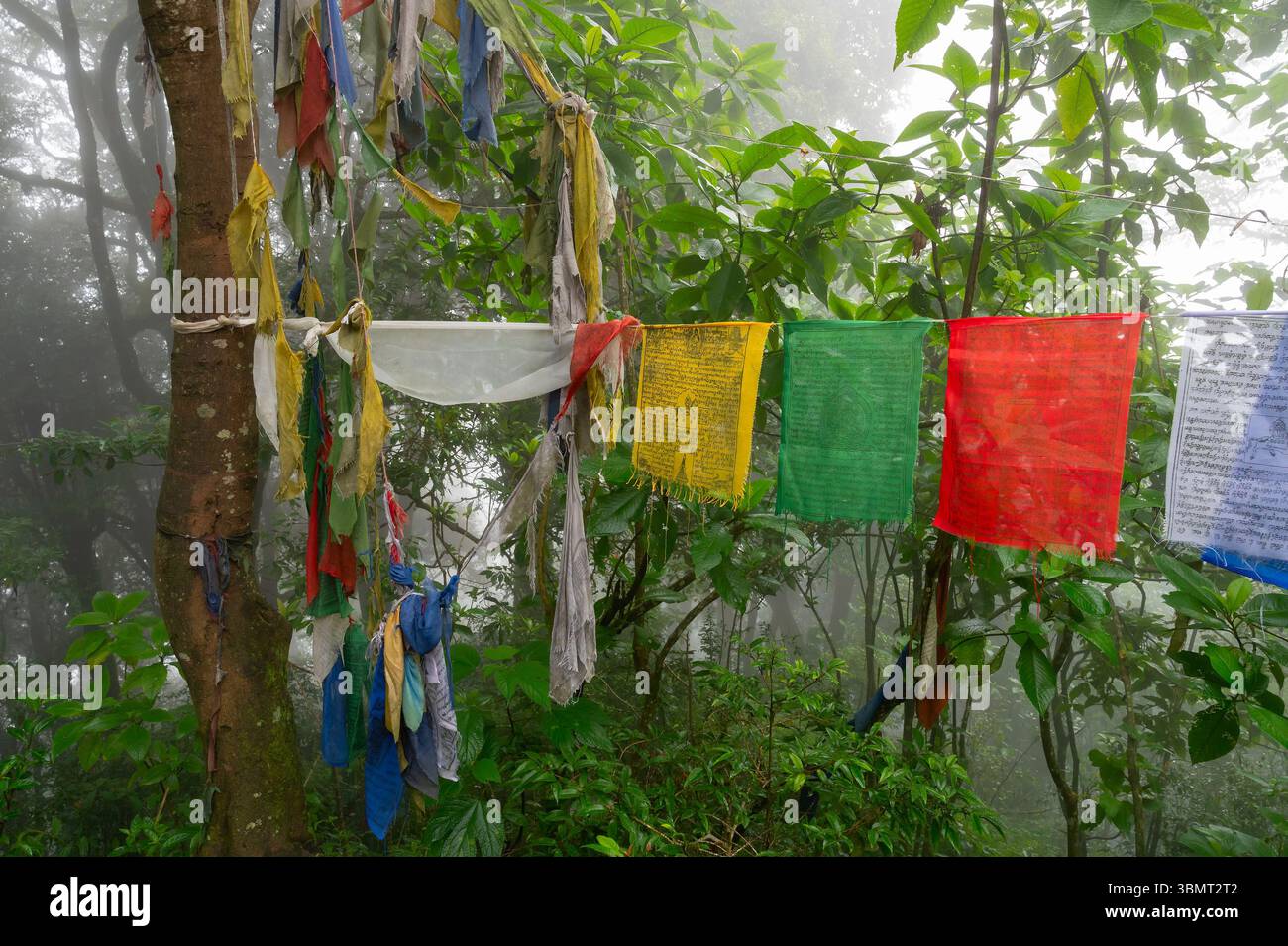 Darjeeling, Bengala Occidentale, India-11.08.2023: Bandiere sulle scale nella foresta, via per il Tempio Mahakal o Mahakal Mandir, tempio indù dedicato al Dio Shiva Foto Stock