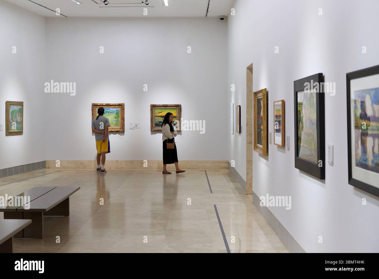 Giovane coppia che guarda i dipinti, museo Thyssen Bornemisza, Madrid, Spagna Foto Stock