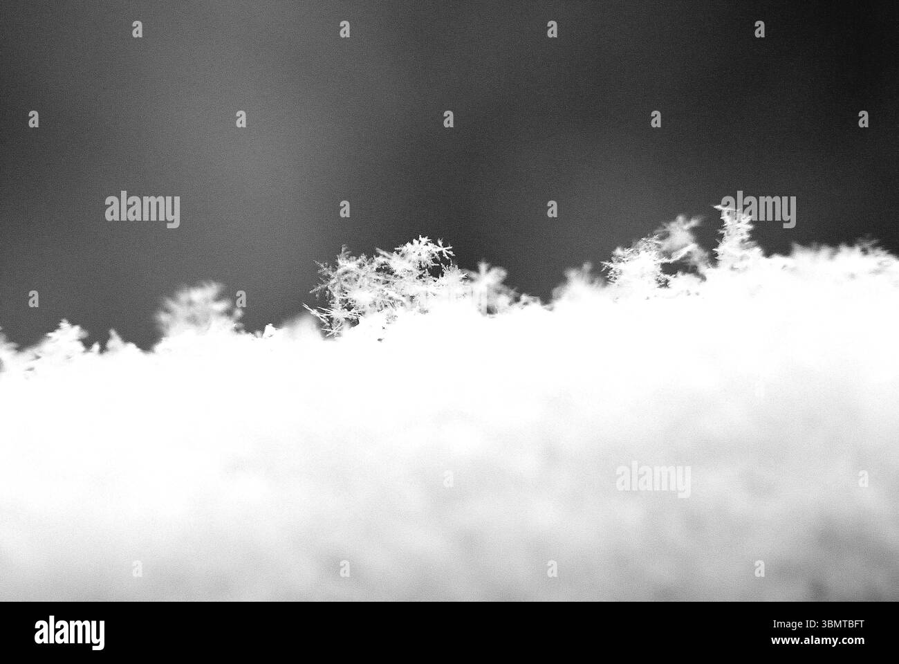 Una macro fotografia astratta in bianco e nero di veri fiocchi di neve e cristalli di ghiaccio su una coperta di neve. Foto Stock