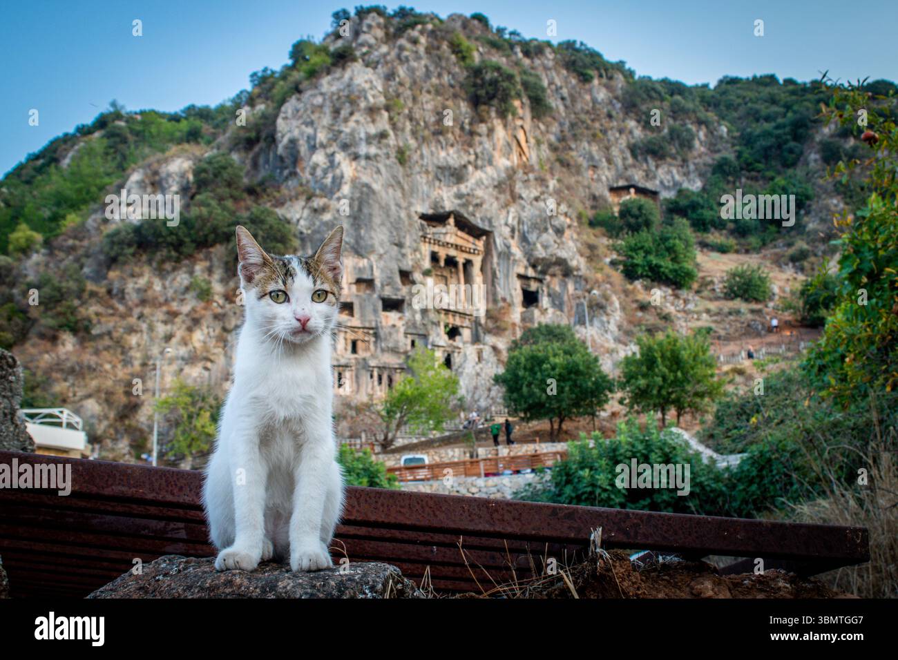Gatto con tombe lyciane di Amyntas Foto Stock