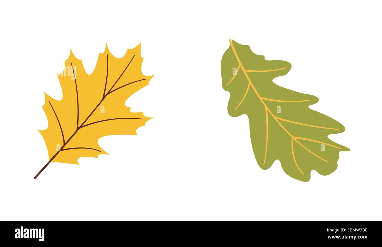 Raccolta autunnale di elementi vettoriali piatti foglie verdi, foglie gialle per i modelli autunnali Illustrazione Vettoriale