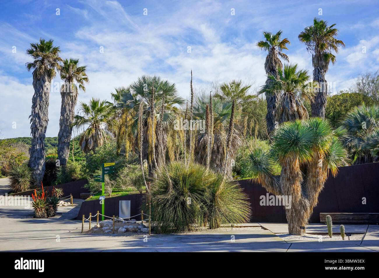 Giardino botanico di Barcellona, Spagna Foto Stock