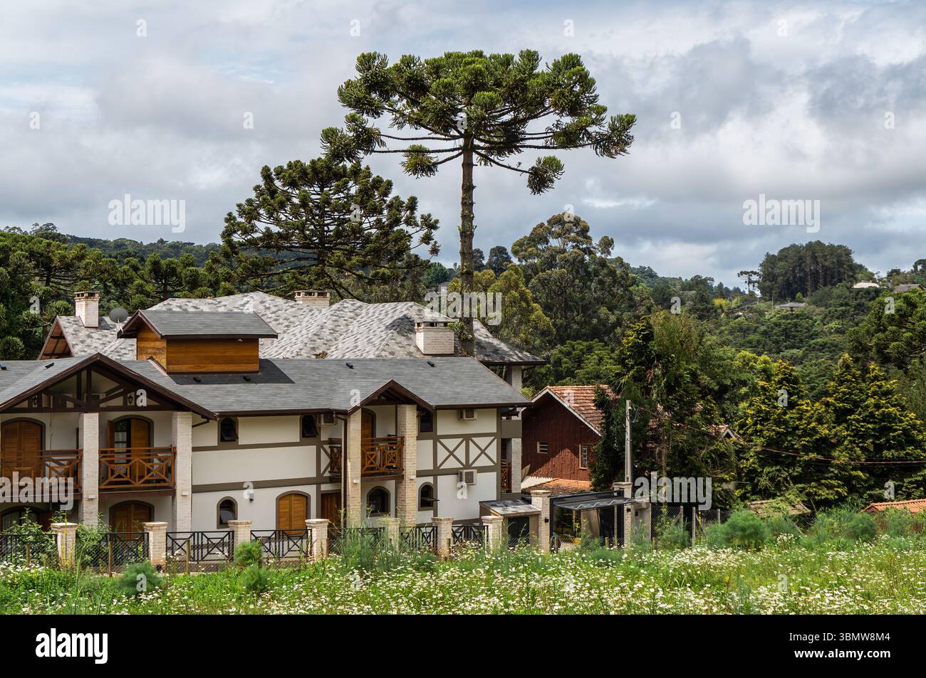 Chalet di stile europeo con tradizionale architettura a graticcio circondato da torreggianti alberi di araucaria e prati di fiori selvatici. Foto Stock