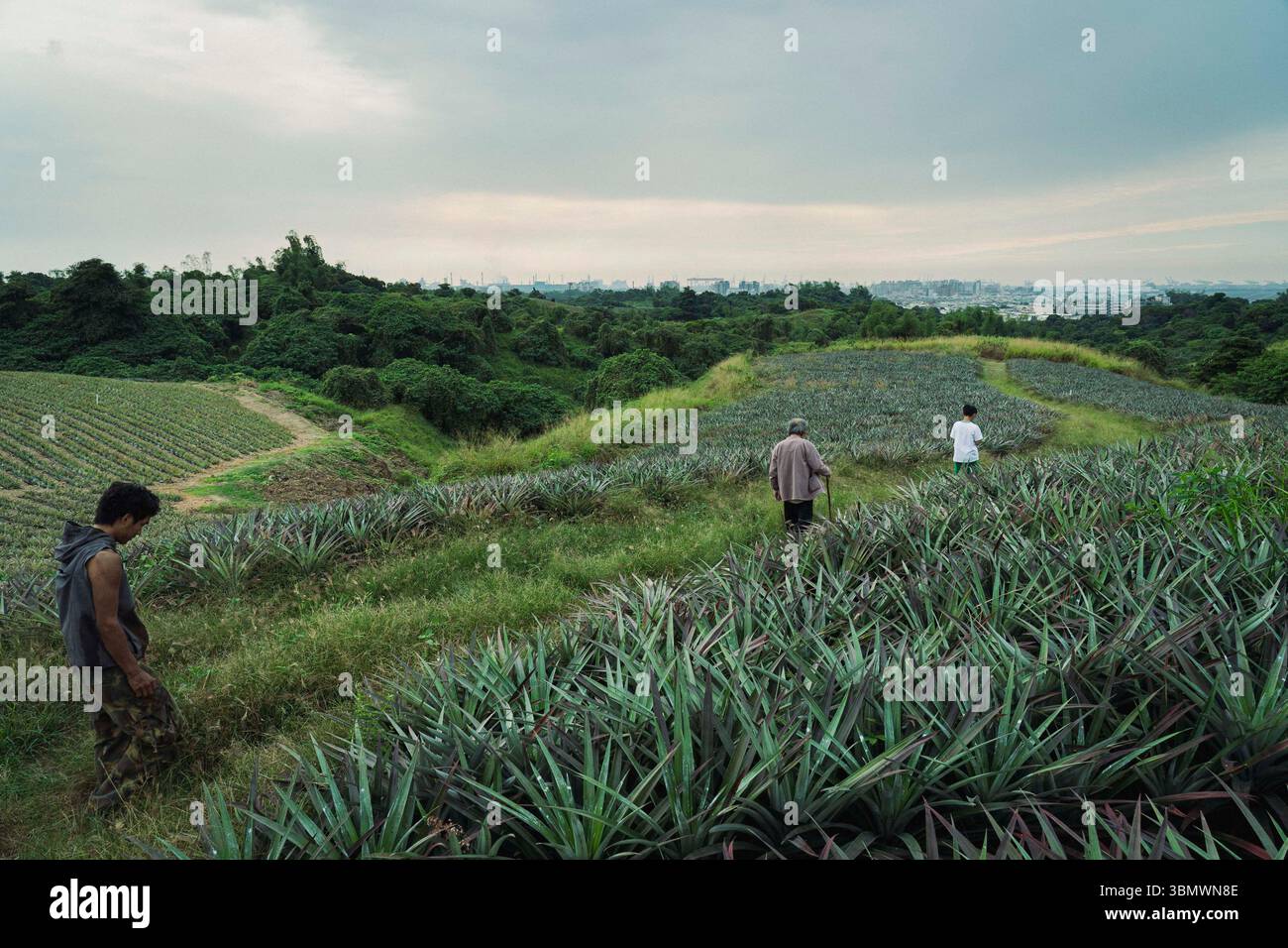 Yi jia zi er GU GU jiao (2022) Coo-Coo 043 (2022) *Filmstill - solo per uso editoriale* vedere le istruzioni speciali. Immagine CAP/TFS fornita da Capital Pictures Foto Stock