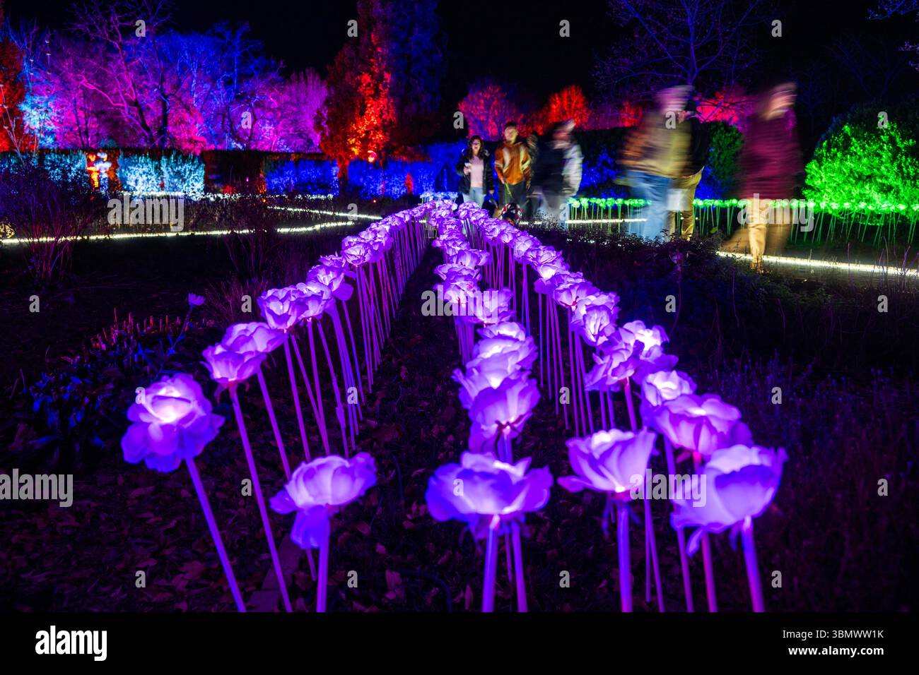 La spettacolare illuminazione notturna trasforma i giardini formali in un'esperienza artistica coinvolgente e tour a piedi al Museo della Valle dello Shenandoah. Foto Stock